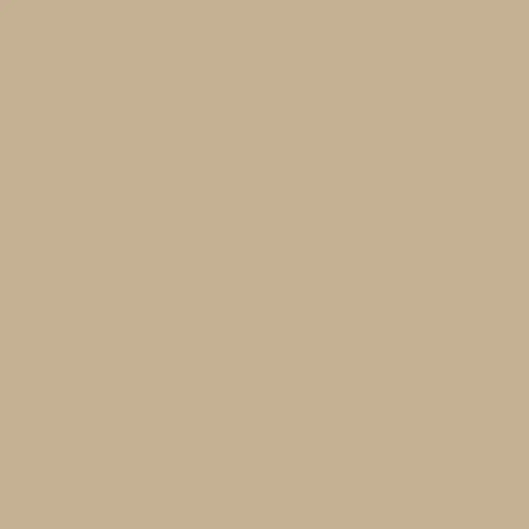 foto color (10).jpg